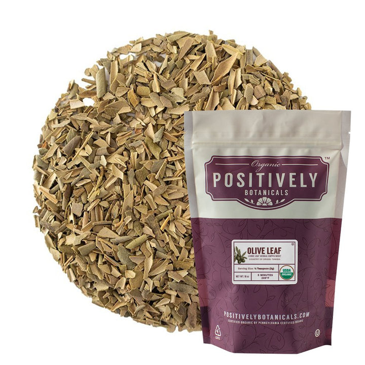 Organic Olive Leaf - Loose Leaf Botanical