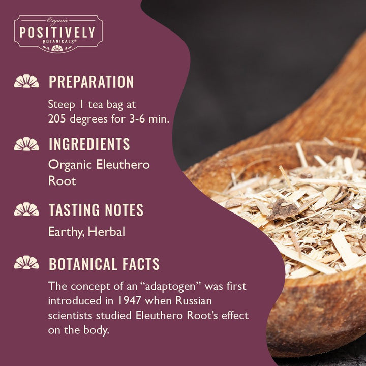Organic Eleuthero Root - Botanical Tea Bags