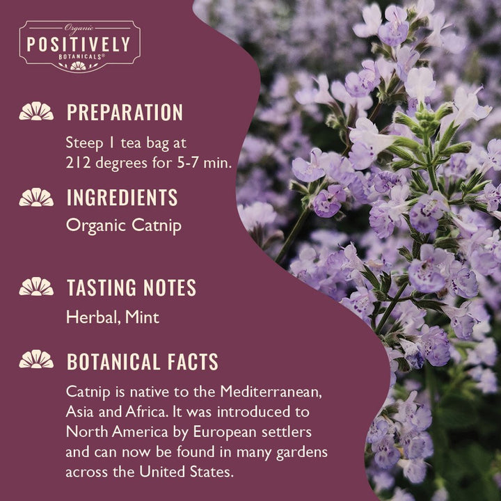 Organic Catnip - Botanical Tea Bags
