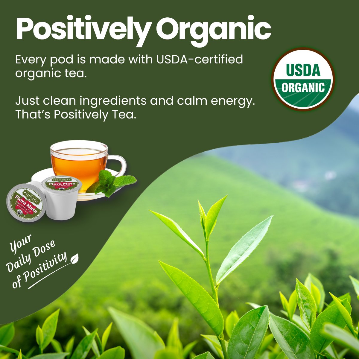 Organic Flora Mate - Classic Tea Pods