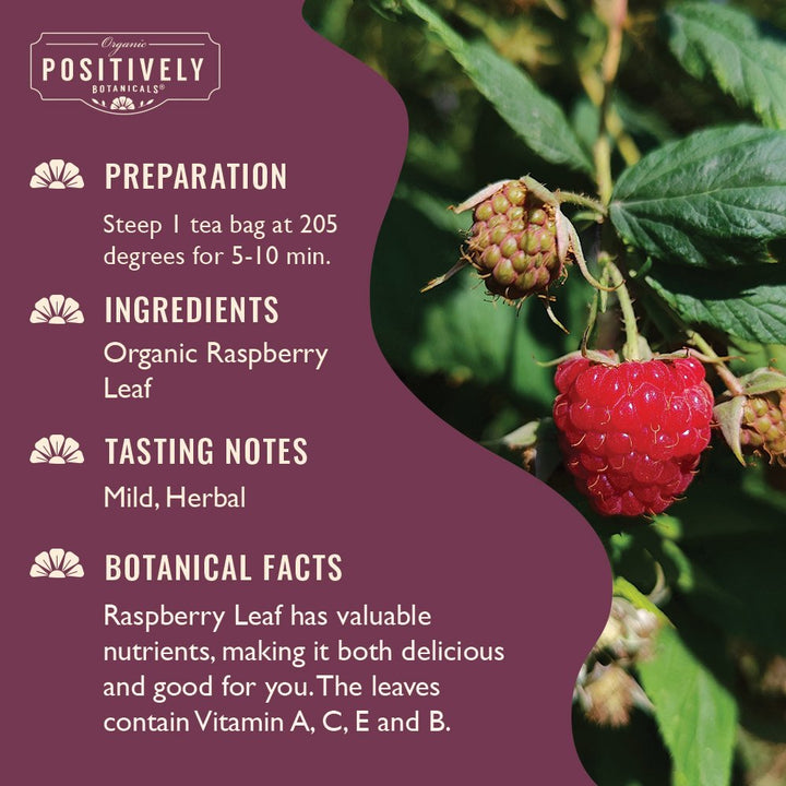 Organic Raspberry Leaf - Botanical Tea Bags