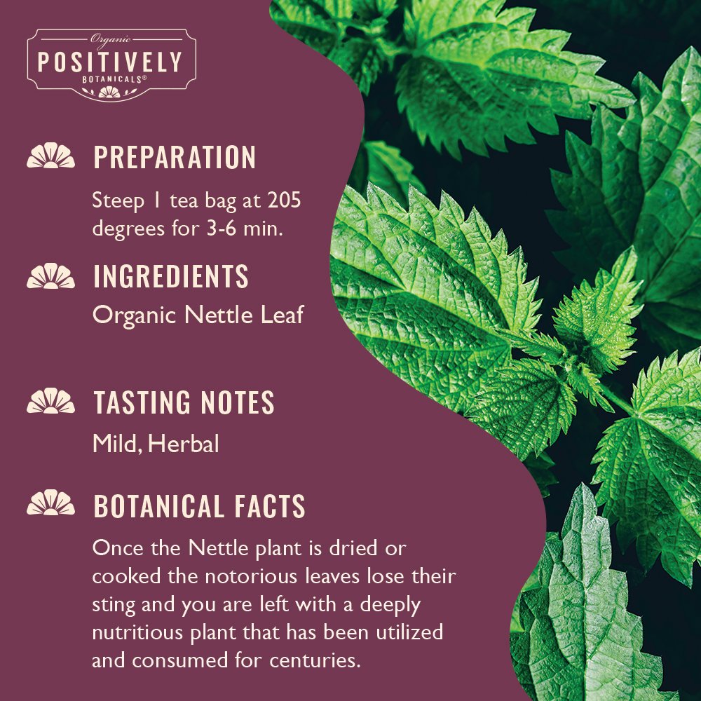 Nettle Leaf - Botanical Tea Bags