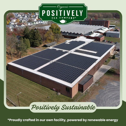 Strawberries and Cream - Loose Leaf Tea