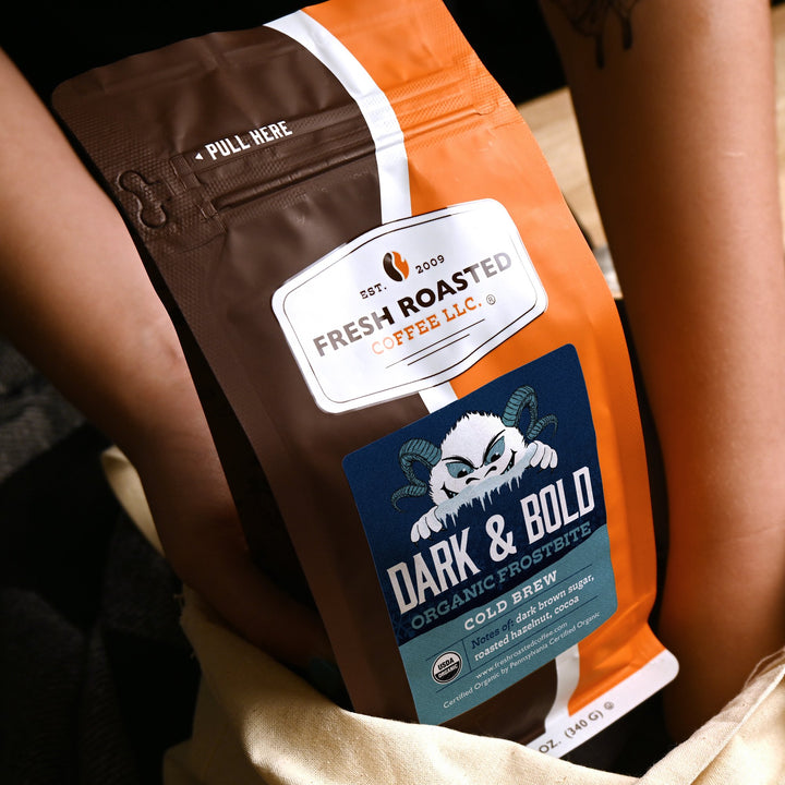Fresh Roasted Coffee Dark & Bold Organic Frostbite Cold Brew bag in hand, perfect for making smooth, bold iced coffee.