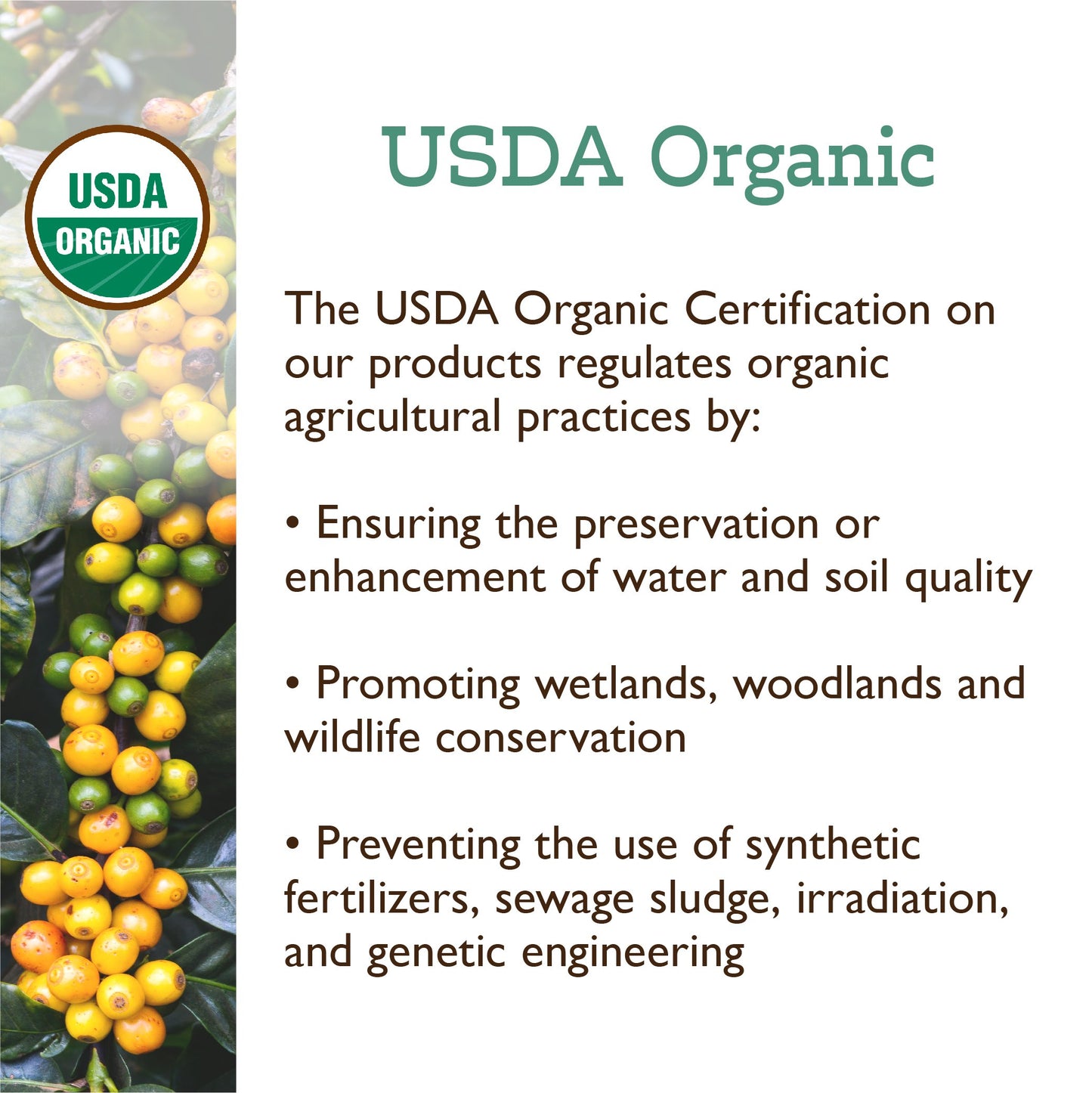 Organic Papua New Guinea - Classic Coffee Pods