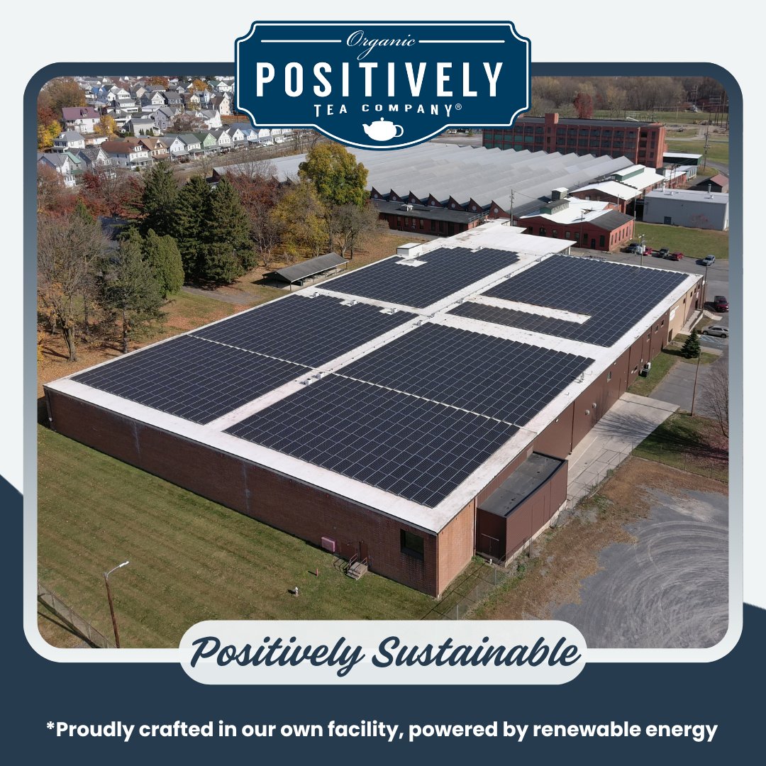 Pumpkin Spice - Tea Bags