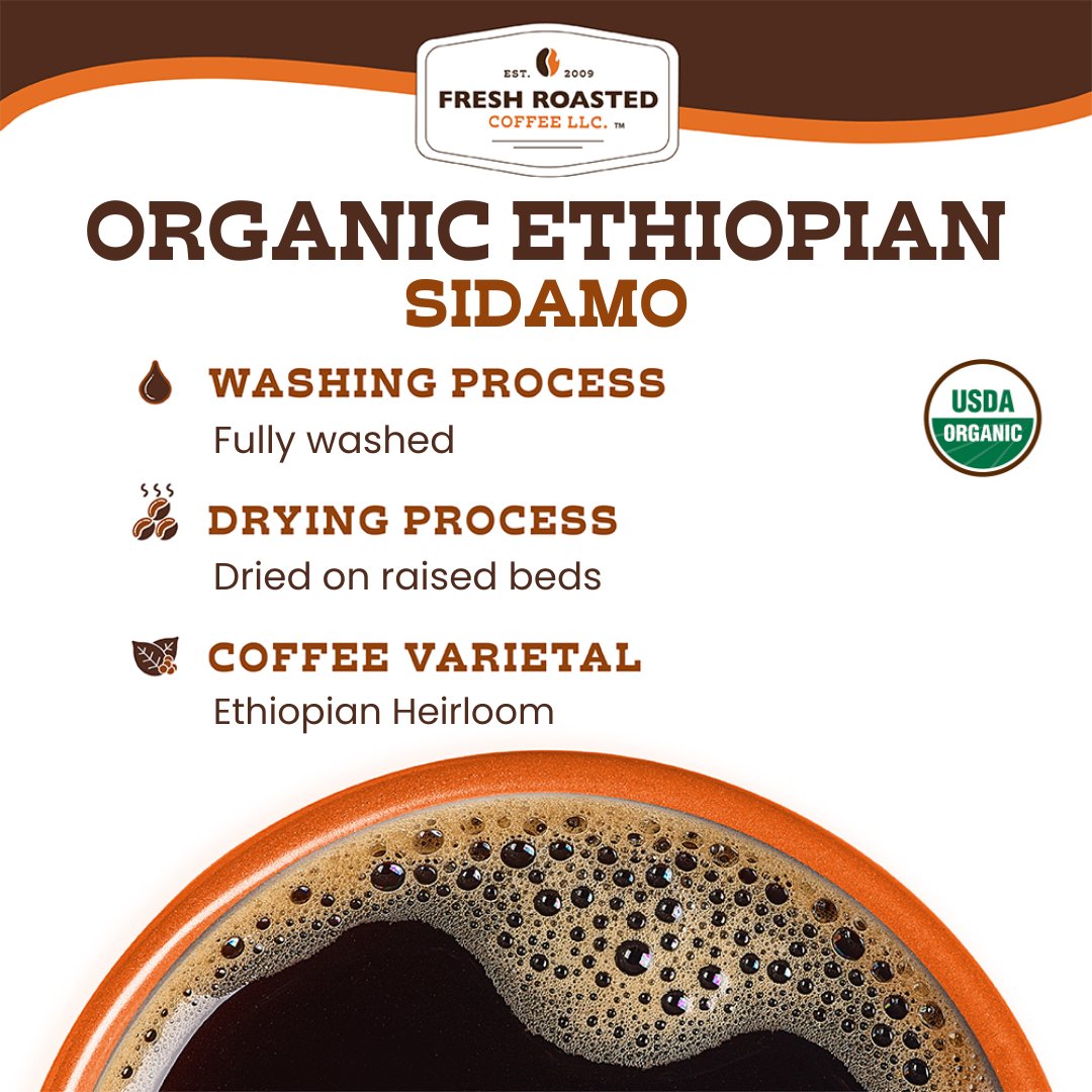 Organic Ethiopian Sidamo - Espresso Capsules