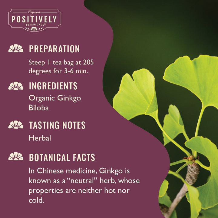 Ginkgo Biloba - Botanical Tea Bags