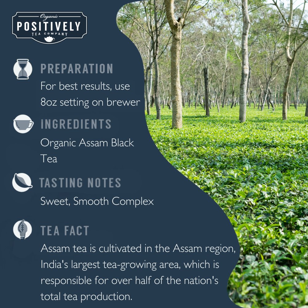 Assam - Tea Pods