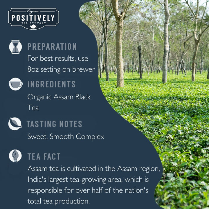 Assam - Tea Pods