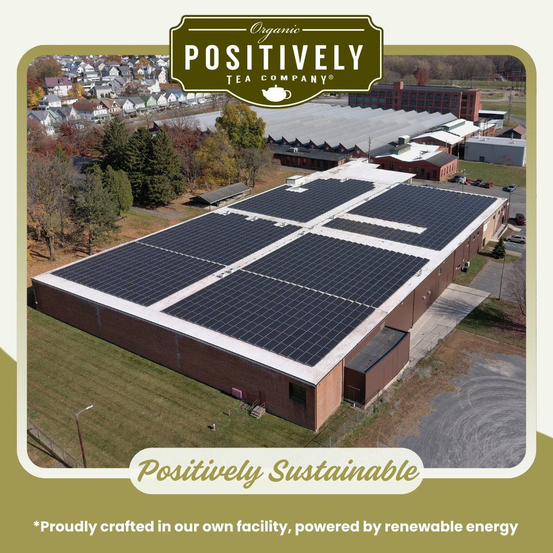 Minty Mate - Tea Bags