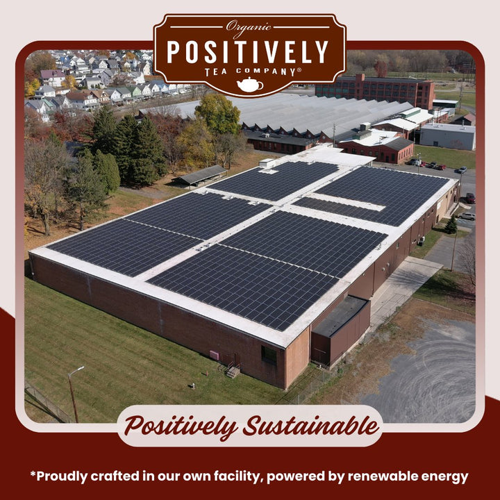 Positively Tea Company sustainable production facility powered by renewable energy for crafting high-quality organic teas.