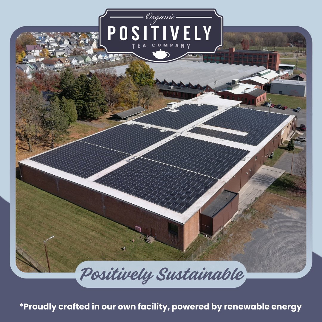 Organic White Tea Bags