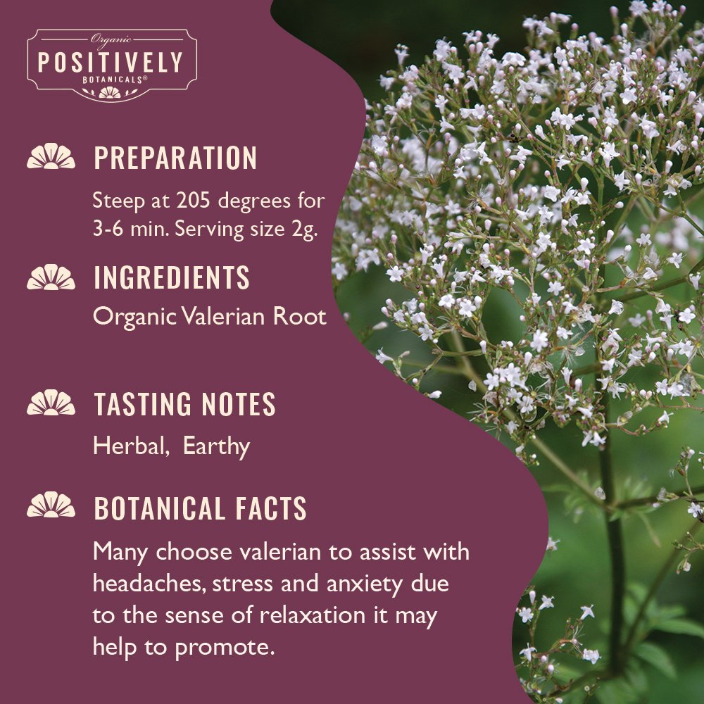 Valerian Root - Botanical Tea Bags