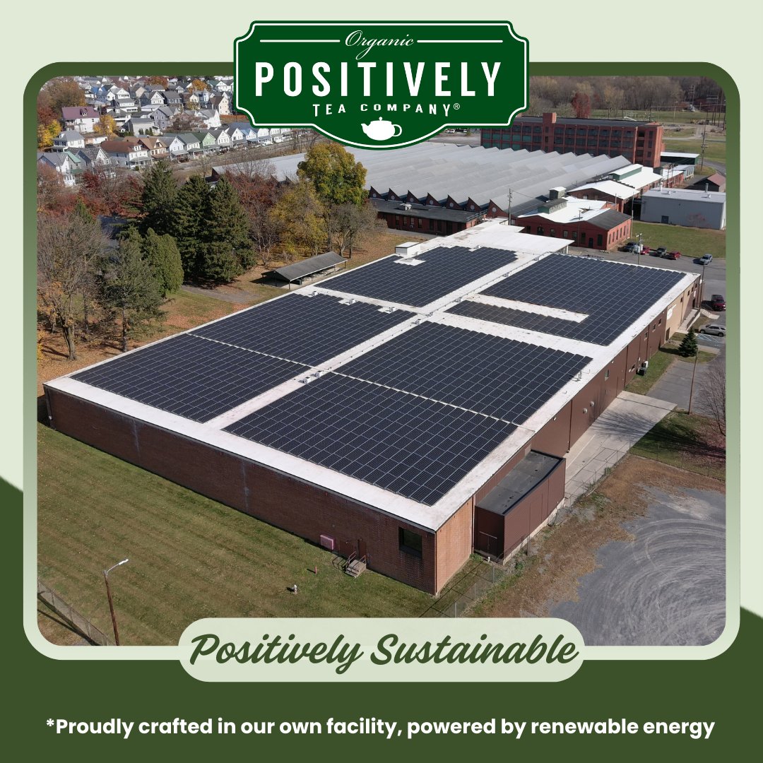 Spearmint Green - Tea Bags