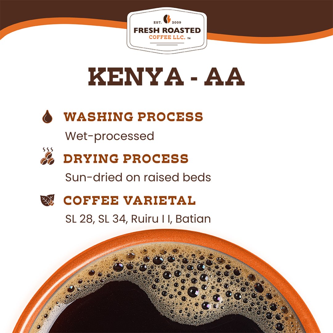 Kenya AA - Espresso Capsules