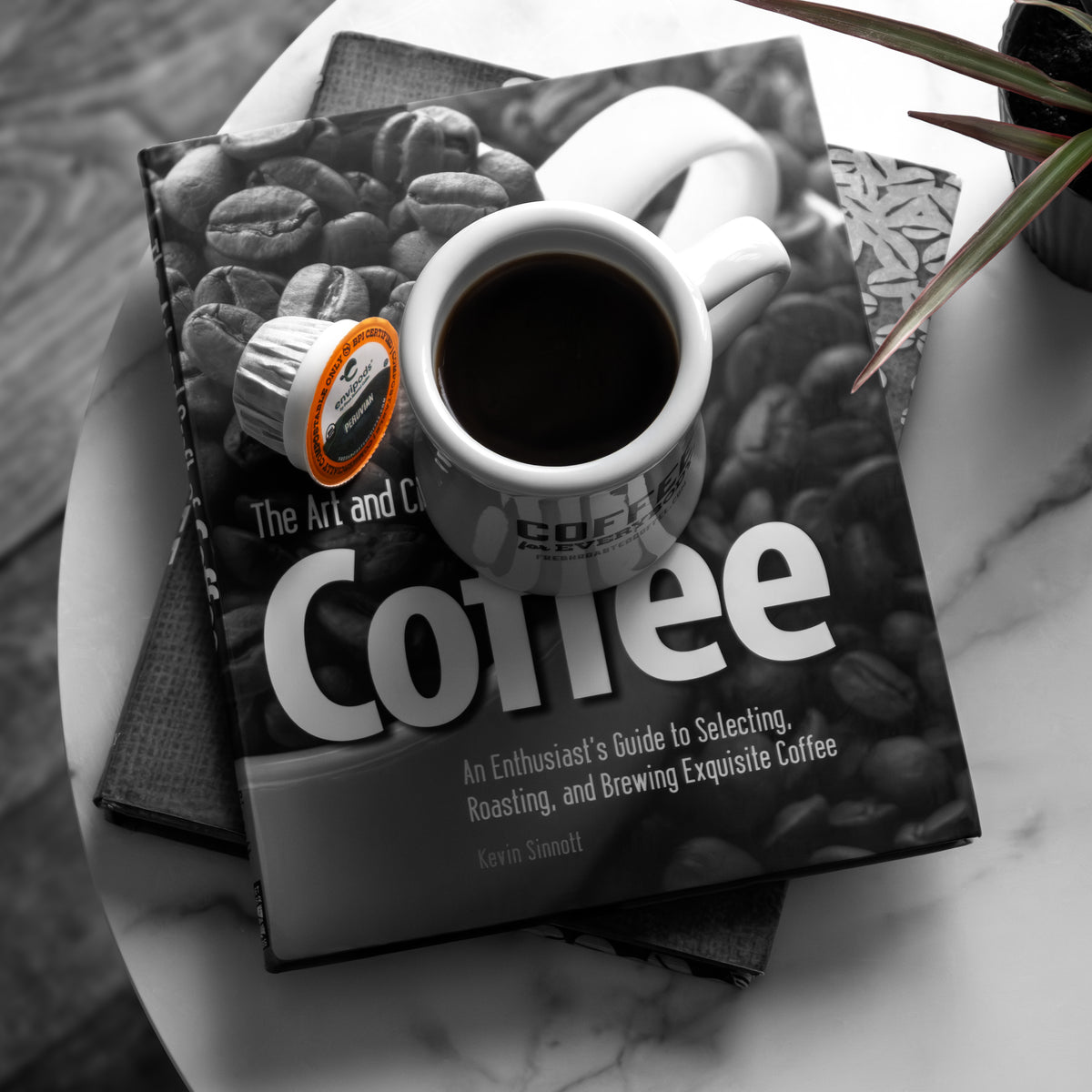 Organic Mexican Water-Processed Decaf - envipods